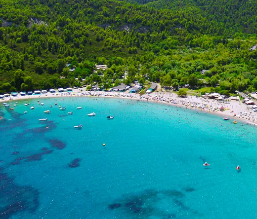 Η παραλία του Αρμενιστή μέσα στο πευκοδάσος