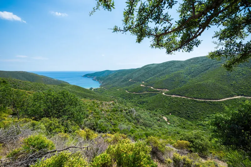 Πράσινοι λόφοι της Σιθωνίας που κατεβαίνουν ως τη θάλασσα